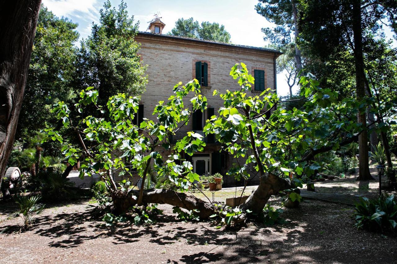 Il Gatto E Il Violino Villa Lido di Fermo Exterior photo
